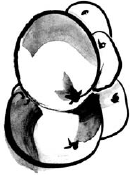 Органический продукт