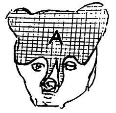 Чаще всего в ней видят летучую мышь или бабочку