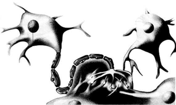 Конструктивные элементы интеллекта