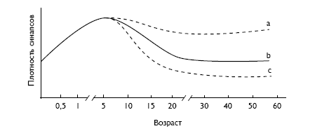 Синапсовая очистка