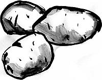 Технический картофель