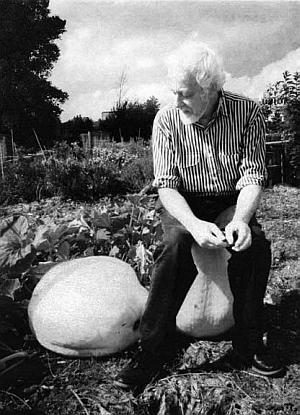 Главный успех 1995 года