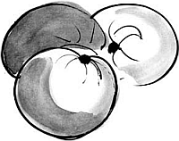 Появление соли