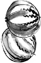 Физиология водного обмена