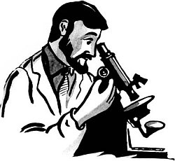 Исследование