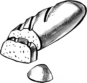 Белки и возраст