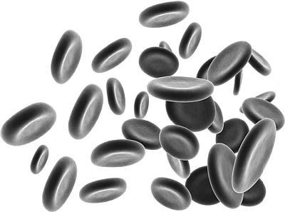 Эритроциты человека