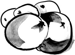 Геронтологические советы